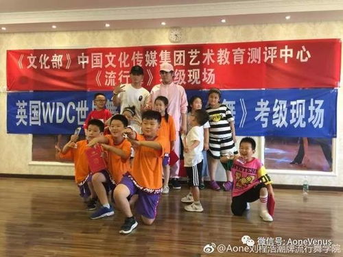 流行舞考级认证 文化传媒领域的国际化标准与艺术价值